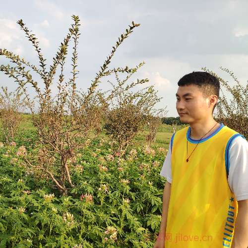 37岁岁广东单身帅哥 - 镇江吉缘网